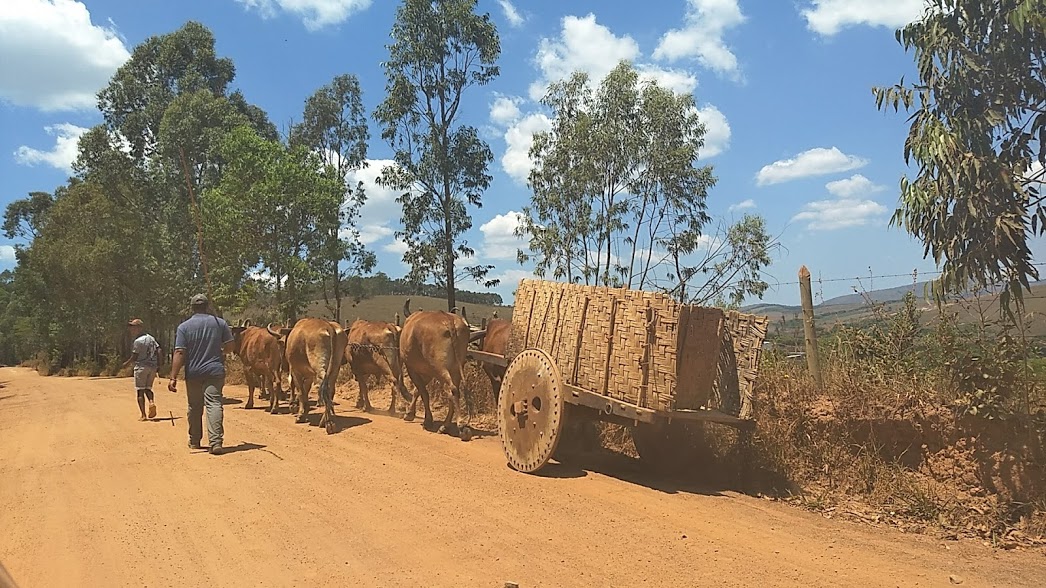 Carro de boi Andrelândia