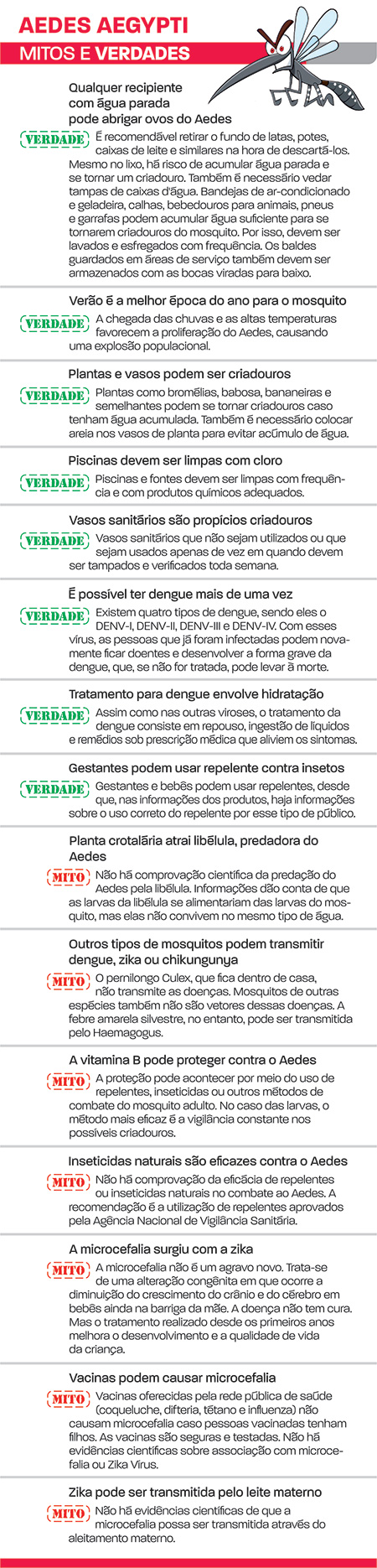 aedes aegypti