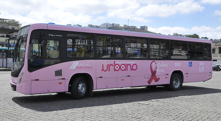 onibus rosa 2