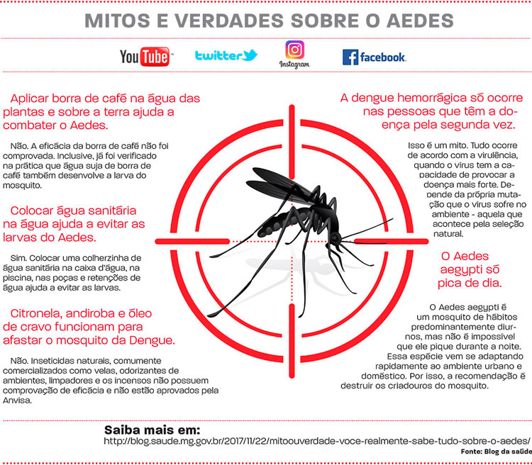 DENGUE DIA 231