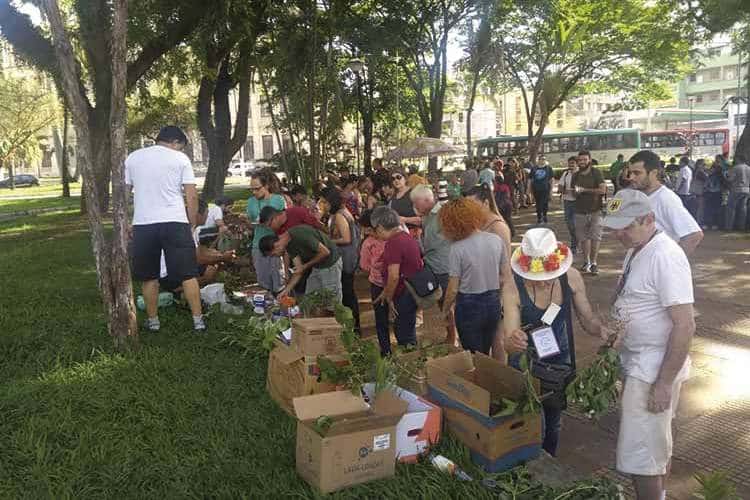 Feira de troca e doação de mudas acontece neste domingo