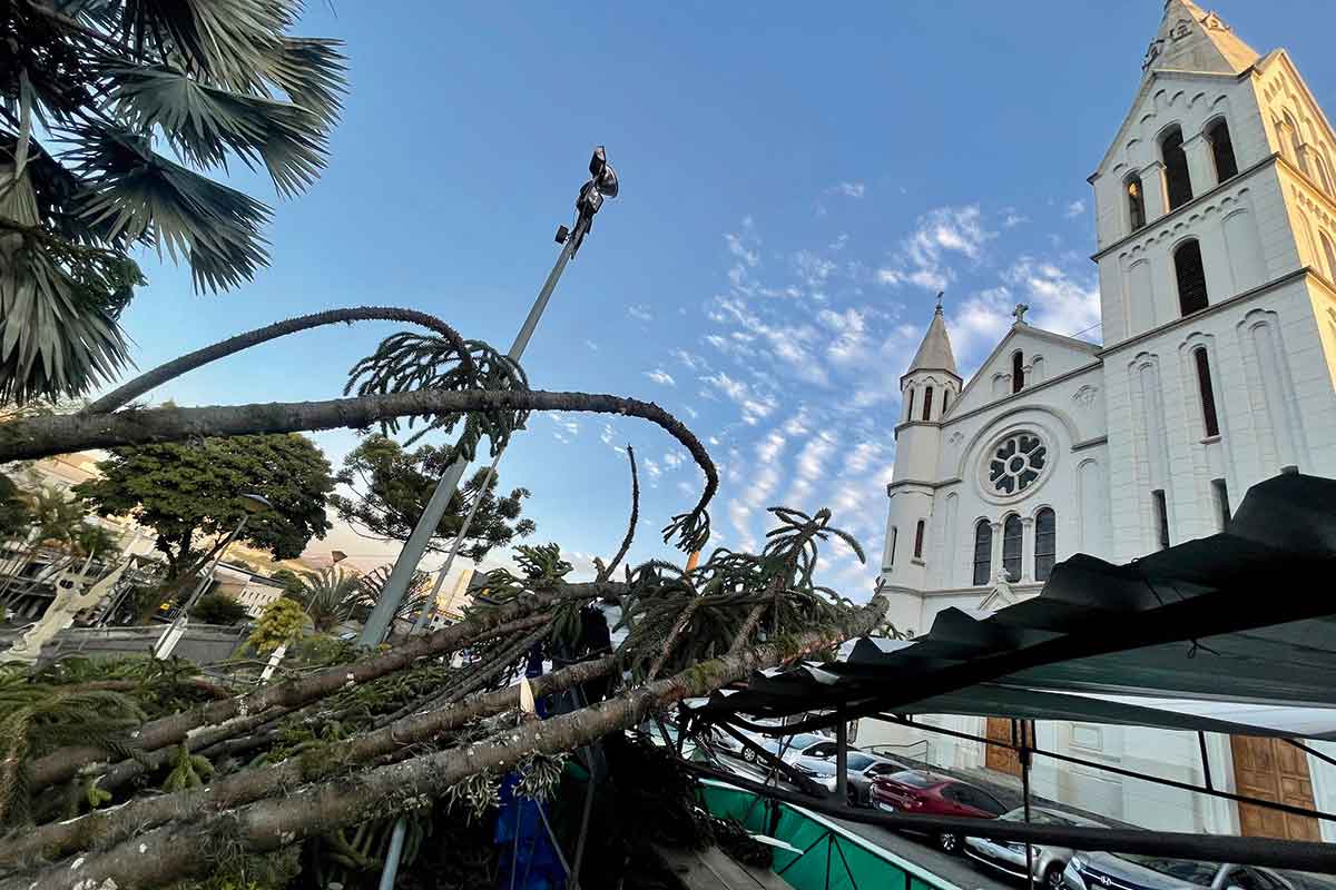 Ventania Causa Queda De Rvores Em Juiz De Fora