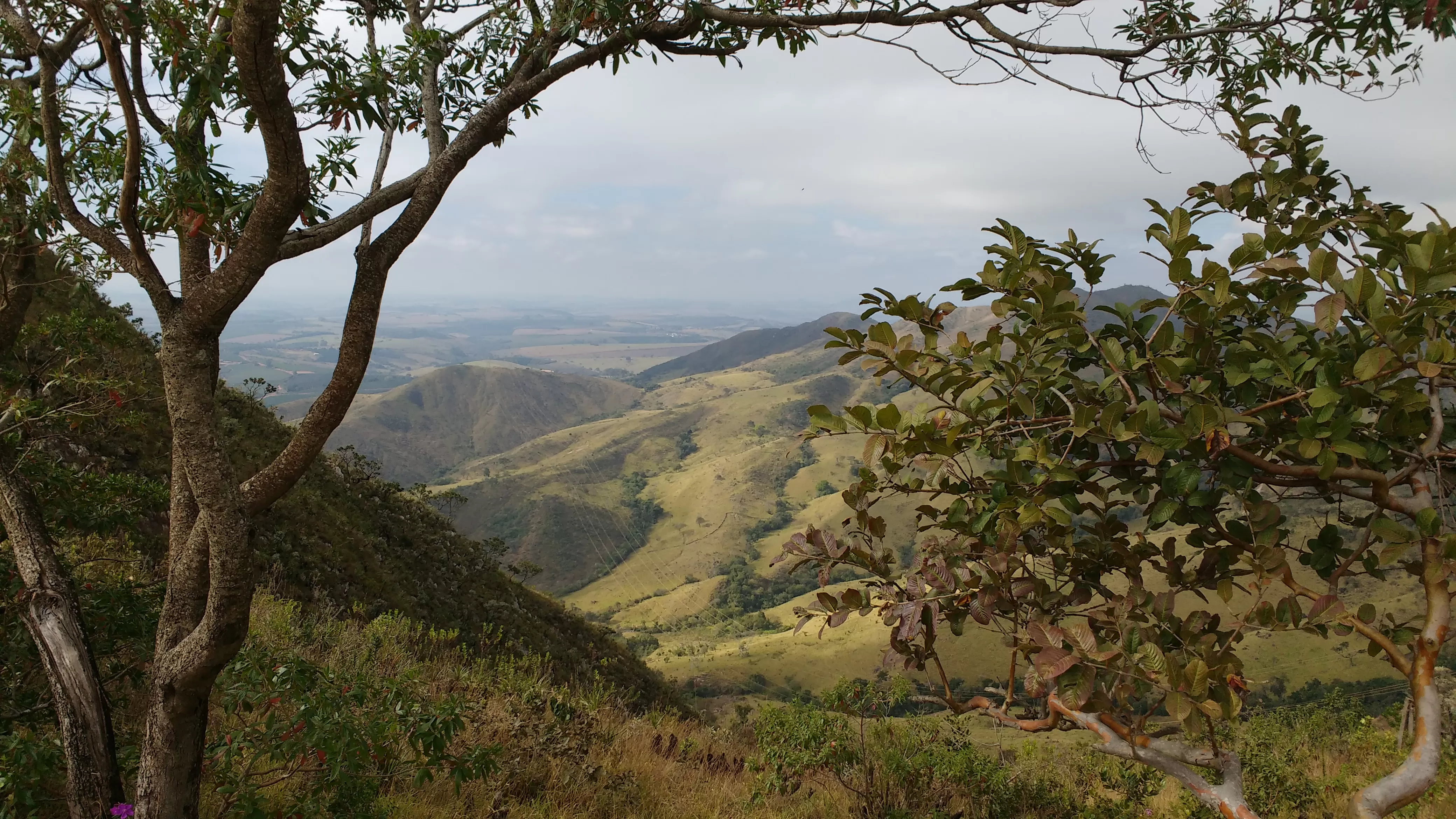 Canastra de cima linda