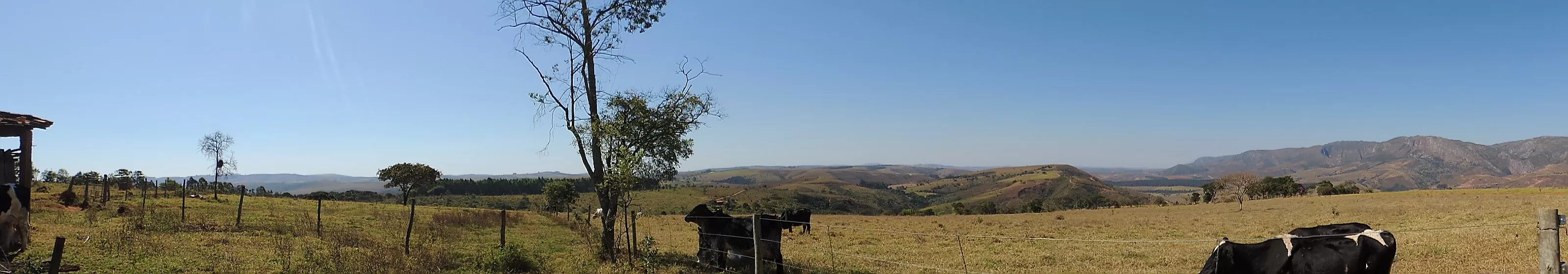 Serra da Canastra queijo 1