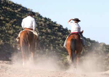 Foto: Luisa E/Unsplash