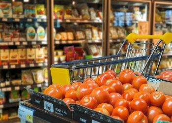 Novo supermercado chega ao Brasil e promete acabar com concorrências - Imagem: Pixabay