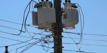 Quem são os grupos que vão ter conta de luz gratuita? - Imagem: Rovena Rosa/Agência Brasil