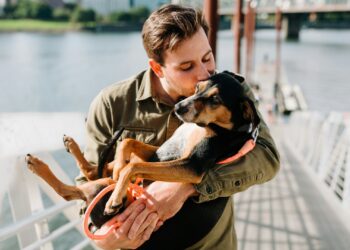 Foto: Chewy/Unsplash