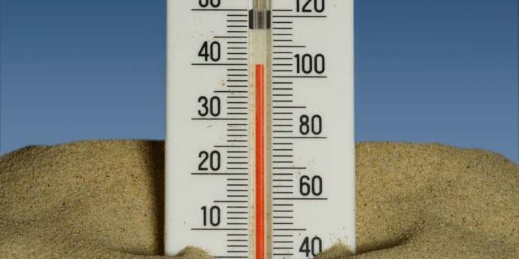 Foto: Immo Wegmann/Unsplash