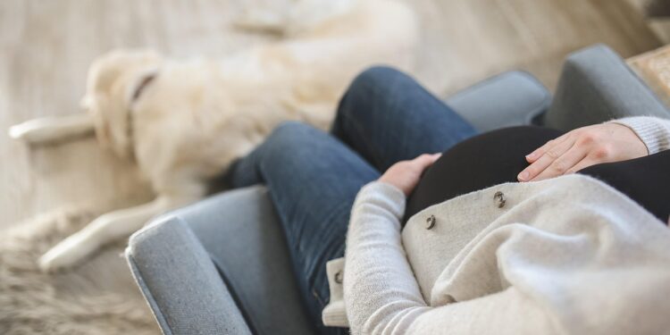 Justiça toma decisão sobre demissão de gestante que 'cochilou' no trabalho - Imagem: Pixabay