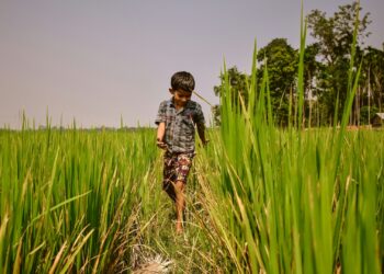 Foto: Krishna Kant Chourasiya/Unsplash