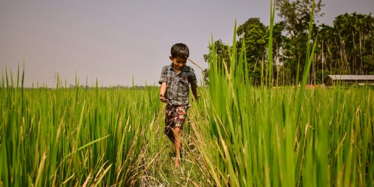 Foto: Krishna Kant Chourasiya/Unsplash