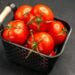 Tomate na geladeira? Especialistas não indicam e revelam o local correto para armazenamento