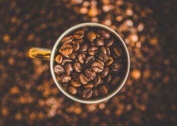 Cientistas revelam que não pode tomar café