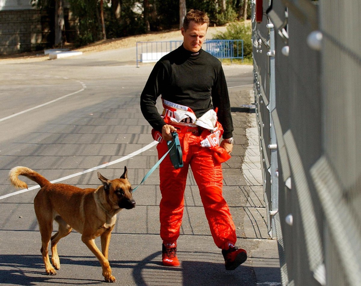 Schumacher adotou cachorro no Brasil e o motivo comoveu os fãs