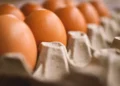 Ovos