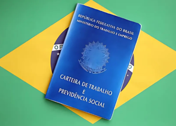 Trabalhadores estão animados com nova função da carteira de trabalho