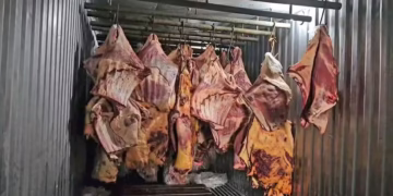 Corte de carne melhor e mais barato para fritar com cebola - Foto: Reprodução/TV Globo