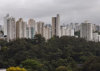 Foto: (Imagem/Reprodução)