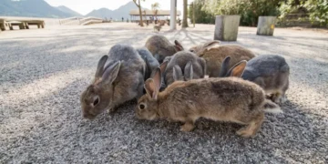 Foto: Getty Images/iStockphoto