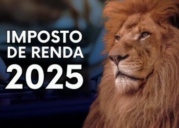 Imposto de Renda 2025 - Foto: (Imagem/Reprodução)