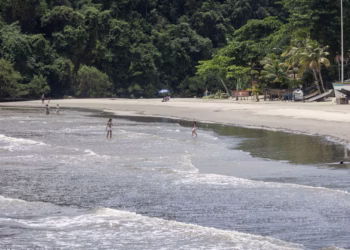 Litoral de São Paulo - Foto: (Imagem/Reprodução)