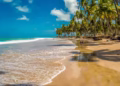 Ninguém consegue sobreviver quando vai a este paraíso no Brasil - Foto: Getty Images