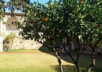 Foto: Minha Vida