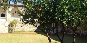 Foto: Minha Vida