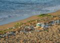 Praia brasileira virou um 'cemitério' com lixo asiático; entenda