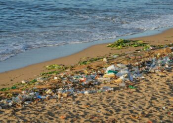 Praia brasileira virou um 'cemitério' com lixo asiático; entenda