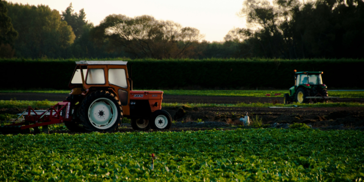 Milhões de agricultores têm direito a este benefício do governo e não sabem