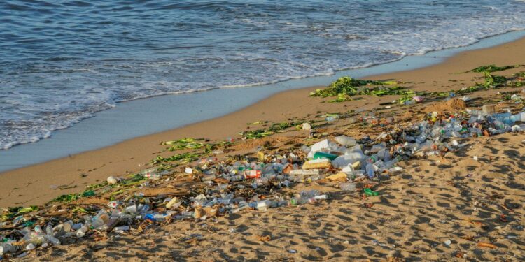 Praia brasileira virou um 'cemitério' com lixo asiático; entenda