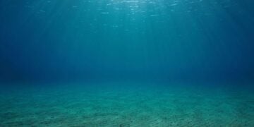 Foto: Shutterstock/Damsea