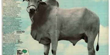 Foto: Reprodução/Revista Veja