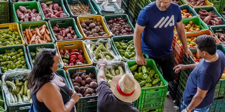 43 alimentos que estão cada vez mais baratos / Imagem: Rafa Neddermeyer - Agência Brasil