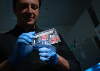 neurocientista brasileiro Alysson Muotri, da Universidade da Califórnia, em San Diego, nos Estados Unidos / Imagem: internet - reprodução