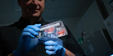 neurocientista brasileiro Alysson Muotri, da Universidade da Califórnia, em San Diego, nos Estados Unidos / Imagem: internet - reprodução