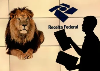 Quem declarar o Imposto muito rápido vai ter benefícios - Imagem: Joédson Alves/Agência Brasil