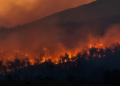 Quase 2 mil focos de incêndios aconteceram somente em fevereiro