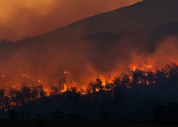 Ciência mostra como provar que incêndios florestais são causados por humanos