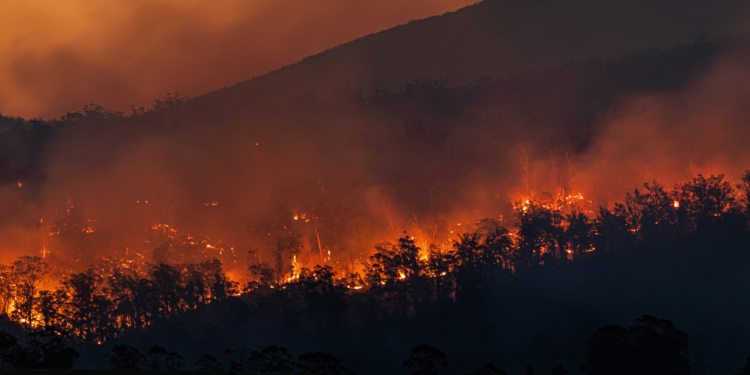 Quase 2 mil focos de incêndios aconteceram somente em fevereiro