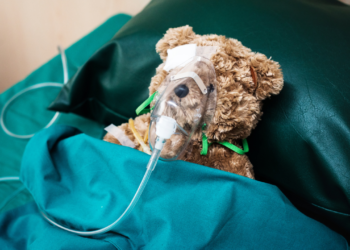 Hábito comum de tutores de animais pode afetar a saúde do pet