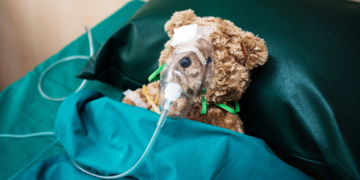 Hábito comum de tutores de animais pode afetar a saúde do pet