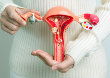 Políticas públicas voltadas à menopausa ganham destaque em estudo
