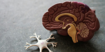 Especialistas revelam os principais tratamentos para tumor cerebral