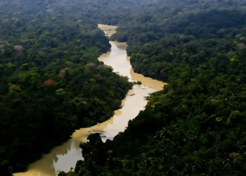 Dimensões gigantes do Amazonas impedem obras comuns como pontes