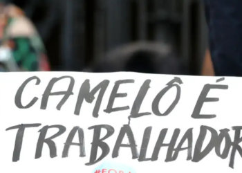 Informalidade supera 50% em 7 estados