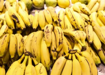 Banana empanada feita na airfryer igual a dos restaurantes - Foto: Valter Campanato/Agência Brasil