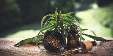 Farmácia de manipulação pode vender cannabis medicinal - Imagem: Pixabay